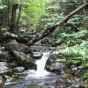 Stream on the Skookumchuck Trail, White Mountains