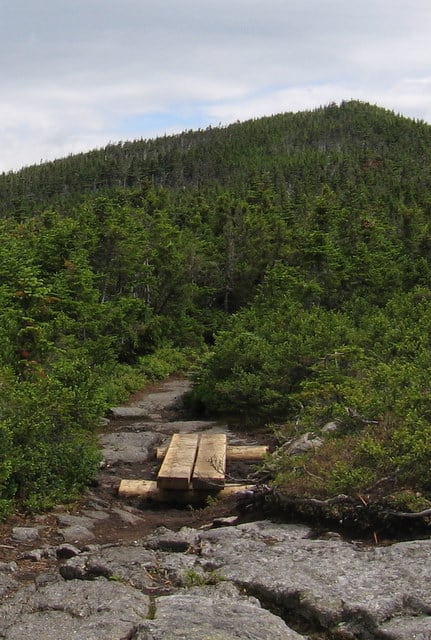 A narrow hiking trail perfect for section hiking, with a small wooden footbridge, winds through dense green bushes and trees, leading toward a forested mountain under a partly cloudy sky.