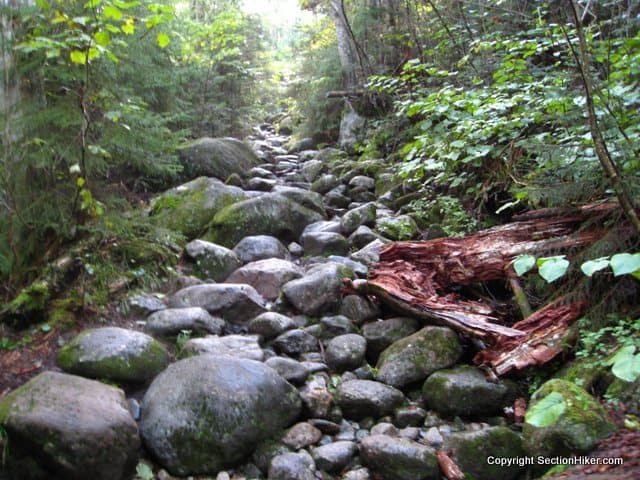 Typical White Mountain Trail: Edmund's Path