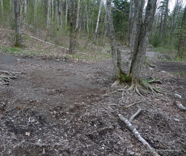 Heavily Impacted "Stealth" Site along the Appalachian Trail, White Mountains