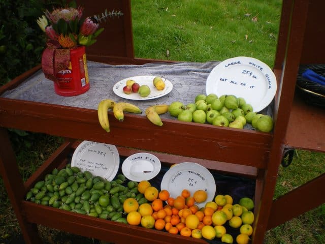 Trailside fruit stand made for a nice snack break while day hiking in Maui