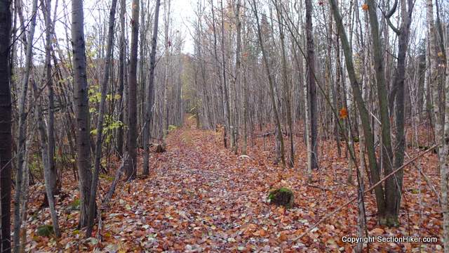 Owls Head Trail in Autumn