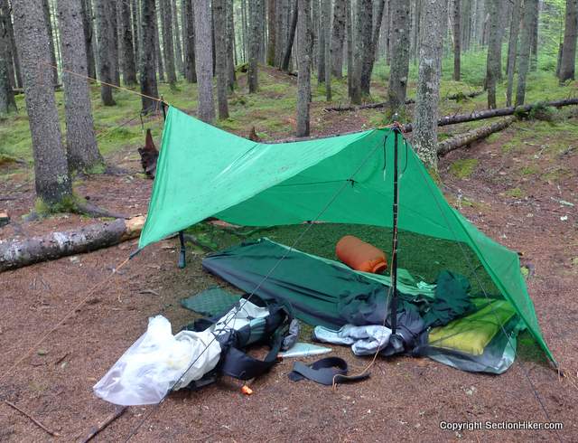 Campsite Selection: Sleeping on Forest Duff and Pine Needles