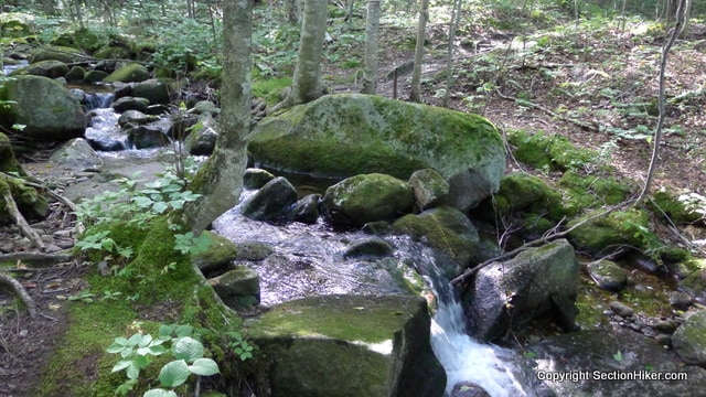 Jordan Brook