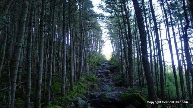 Just before Treeline