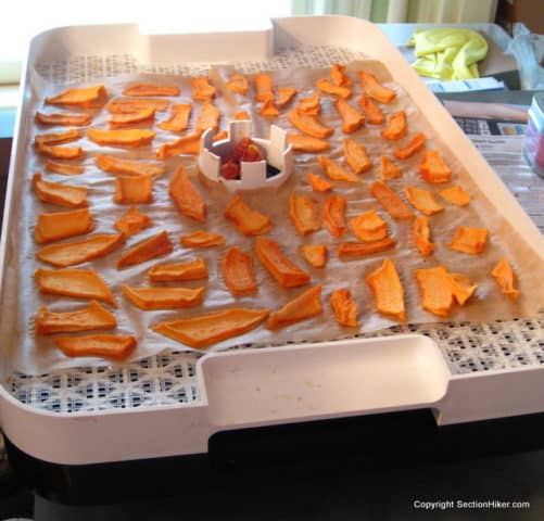 Dehydrated cantaloupe makes a great trail snack