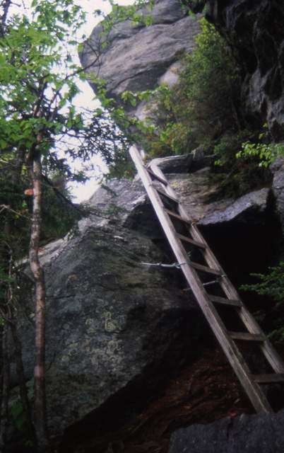 Mount Mansfield--Long Trail Ladder