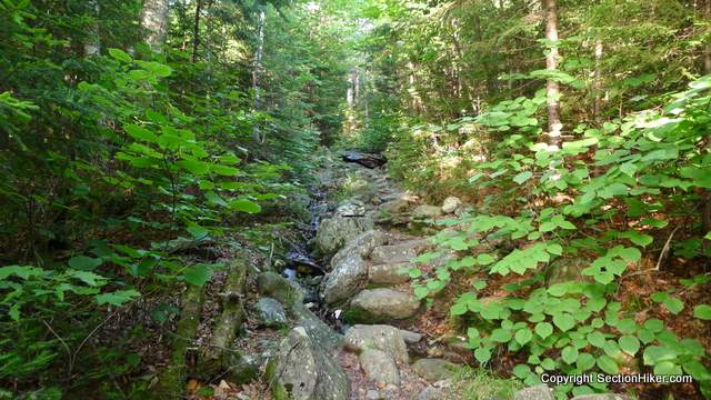The middle section of the trail becomes streeper with more rock climbing and some scrambling,