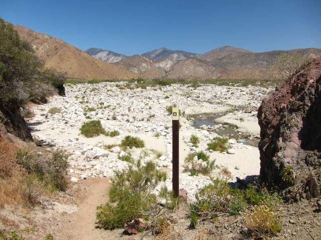 A Natural Water Source on the PCT.
