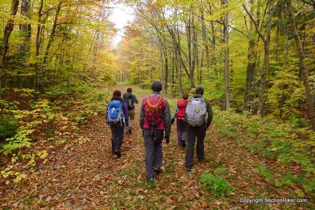 Hiking up FR86 - a logging road