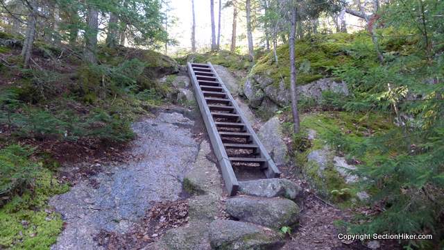 Ladder below the summit of Middle Sugarloaf
