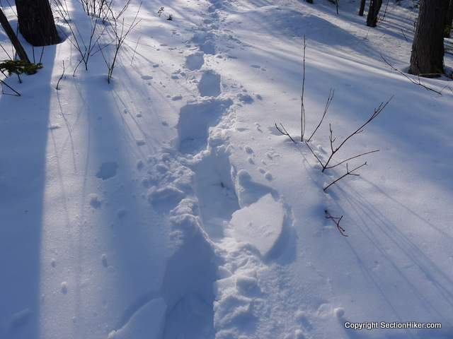 I'd sink 1-2 feet for each step, while still wearing snowshoes