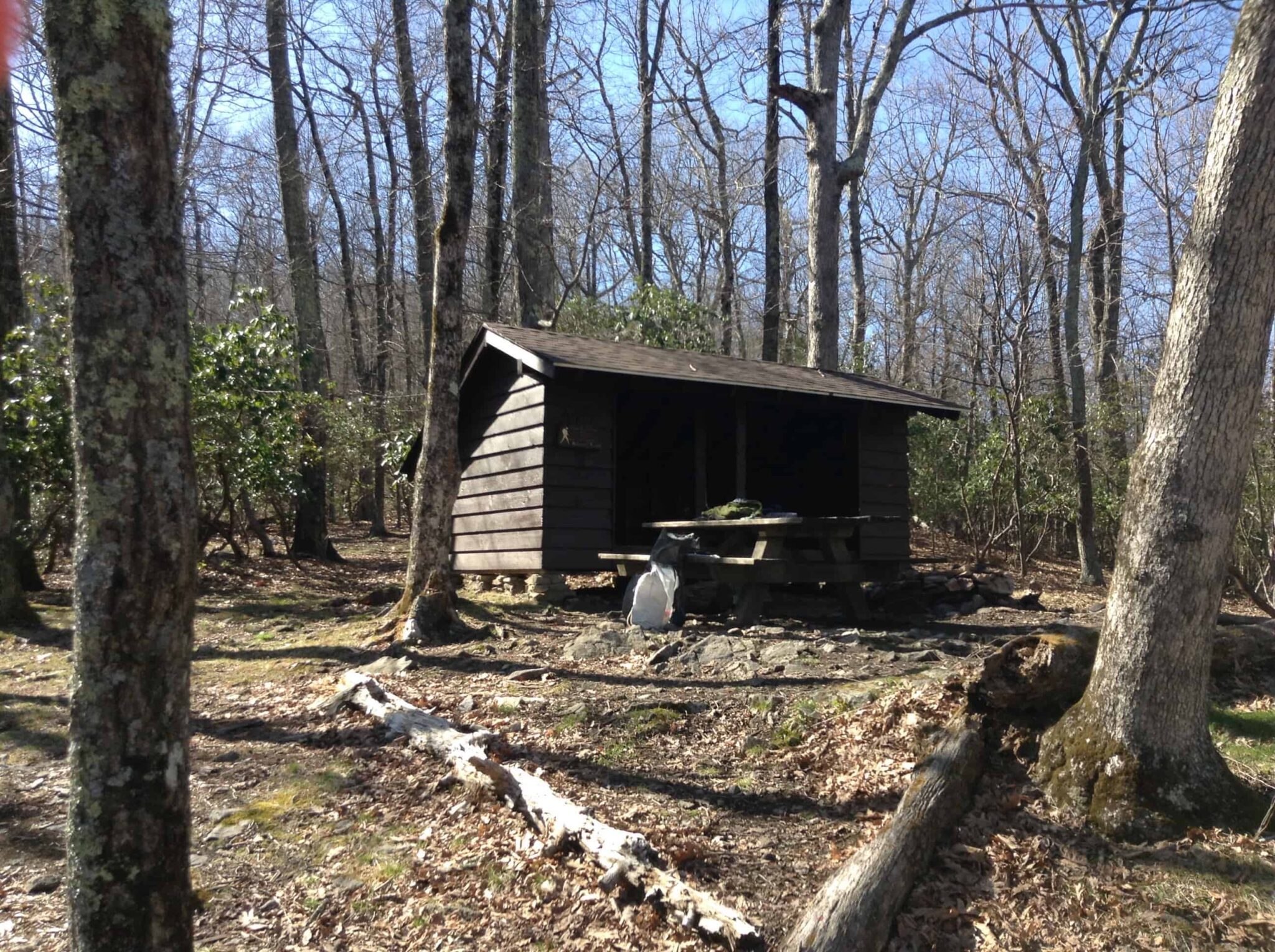 A small wooden shelter stands in a leaf-strewn forest clearing with a picnic table and a white backpack in front. Tall, leafless trees surround the shelter under the clear sky on an AT Section Hike near Daleville VA.