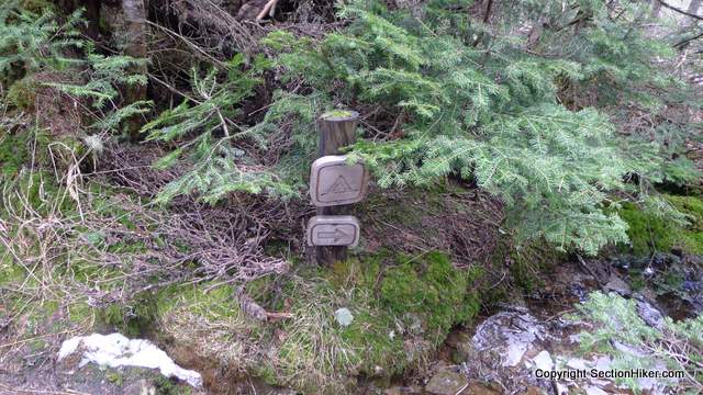 A designated campsite at 4160' on the Dry River Trail. I was very surprised to see this in Oakes Gulf so close to Mt Washington.