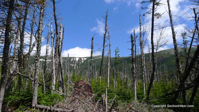 Oakes Gulf, below Mt Washington