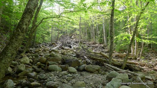 The rain from Irene caused many landslides along the streams that feed the Dry River in addition to the damage done along the river banks.