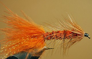 Woolly Bugger