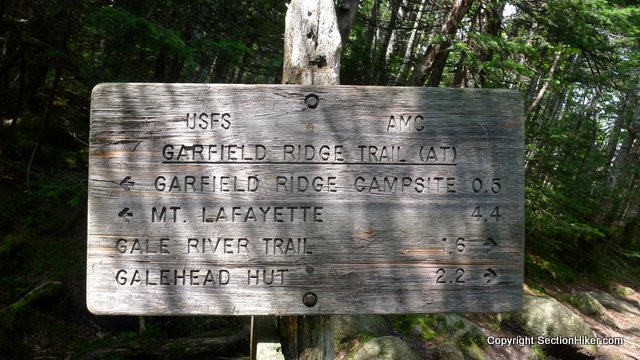 The top of the Franconia Brook Trail is covered with running water and then you arrive at the Garfield Ridge Trail Junction.