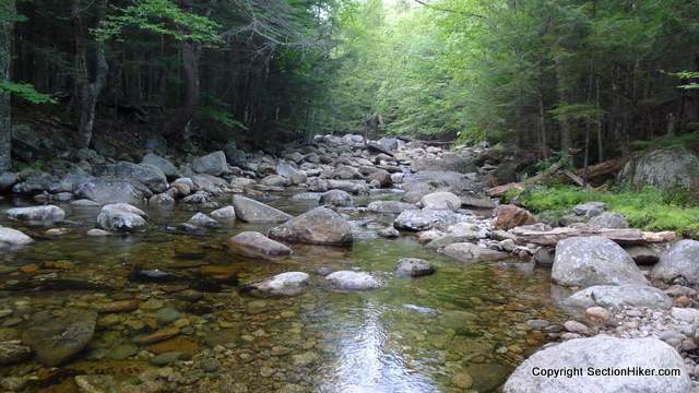 A section of Pond Brook near my camp site