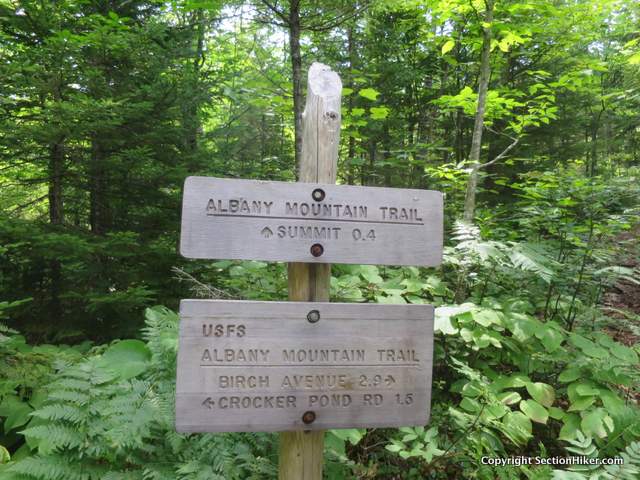 Trail Junction leading to the summit