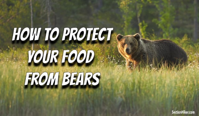 How to Protect Your Food from Bears