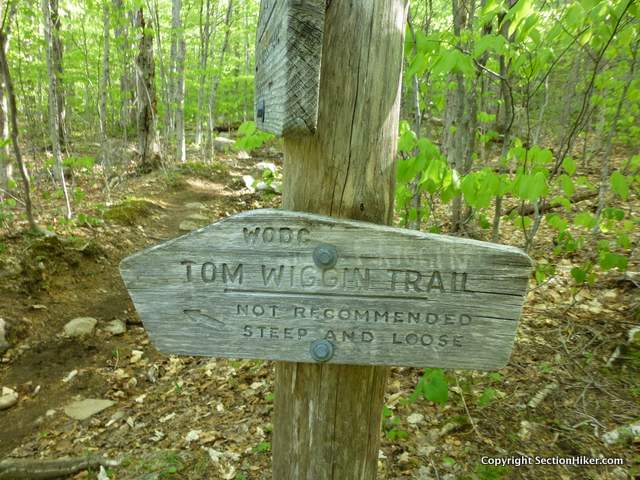 The Tom Wiggin Trail is steep and loose