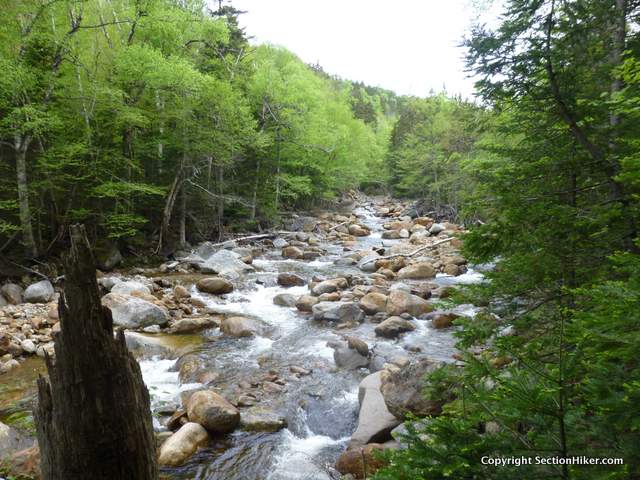 Dry River