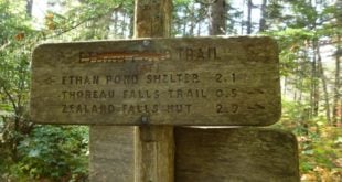 Why do people deface trail signs and scratch in the AT instead?