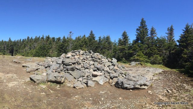 The Mt Hale summit cairn. 