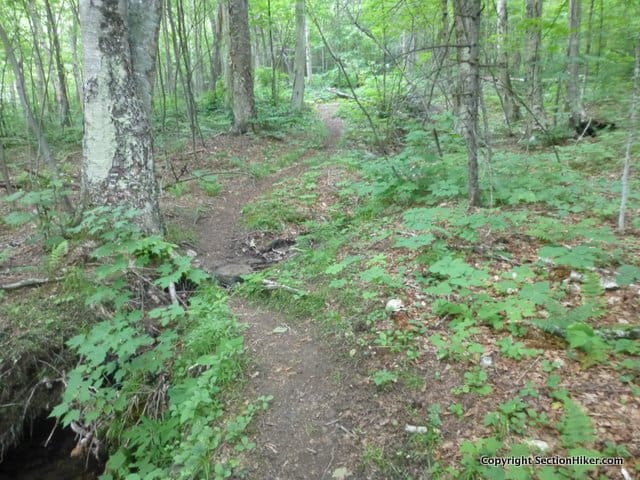The Fire Warden's Trail is easy to follow even though, like many trails in the White Mountains, it's largely unblazed