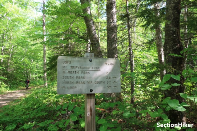 Continue on the Livermore Trail past this sign to the North Peak