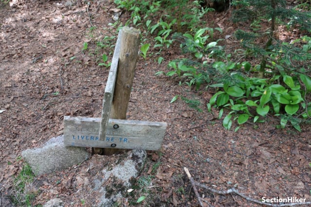 Follow the Scaur Trail to the Livermore Trail