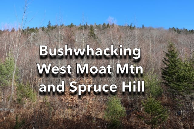 Bushwhacking West Moat Mtn and Spruce Hill