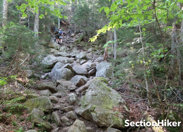The Webster-Jackson Trail is steep, rocky, and full of tree roots.