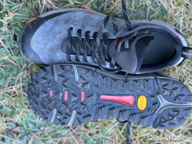 Danner Trail 2650 GTX Hiking Shoes Review - SectionHiker.com