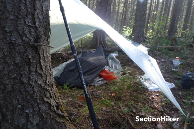 If your goal is wilderness immersion, a tarp is the way to go.