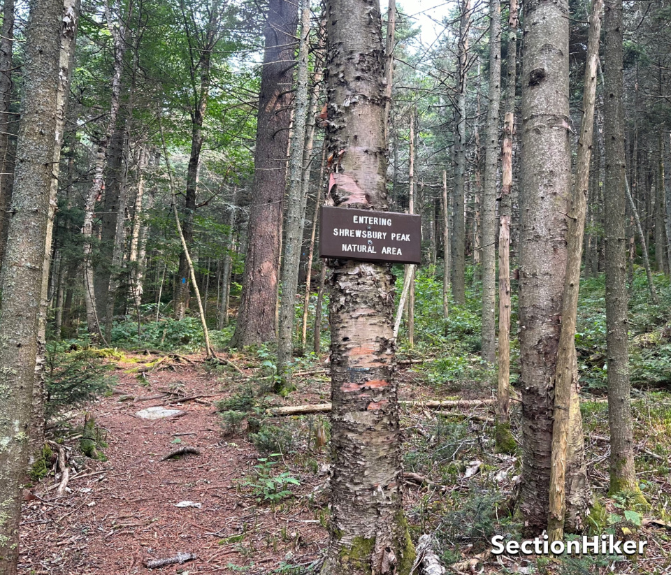 Entering the Shrewsbury Peak Natural Area