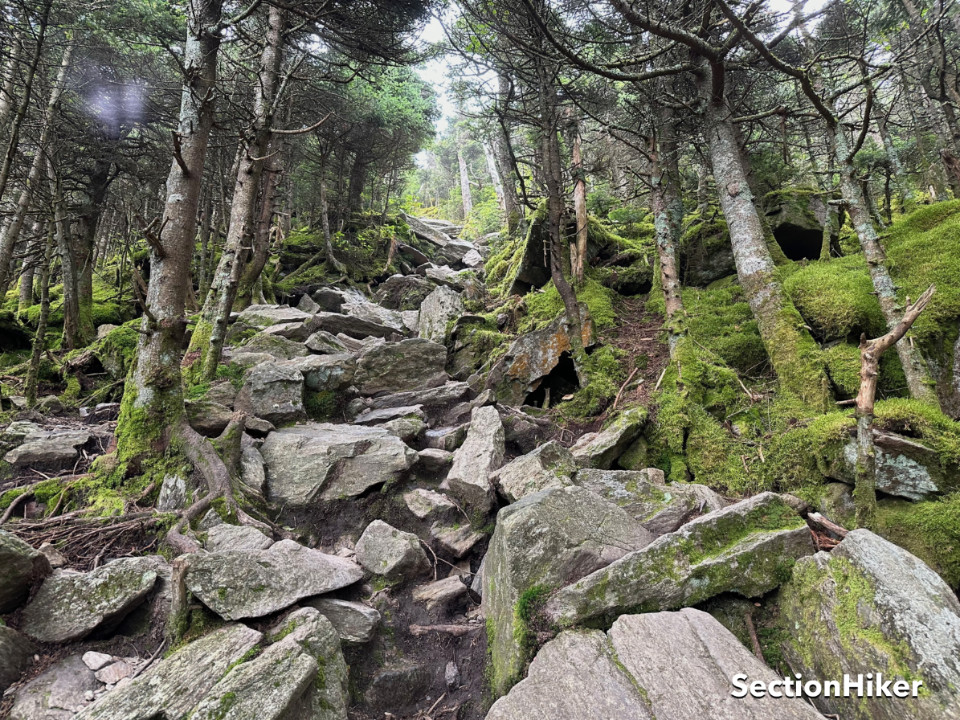 The final 0.4 miles of the Bucklin Trail up to the Killington summit.