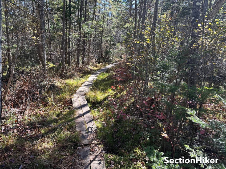 Bog bridges on the Branch Pond Trail