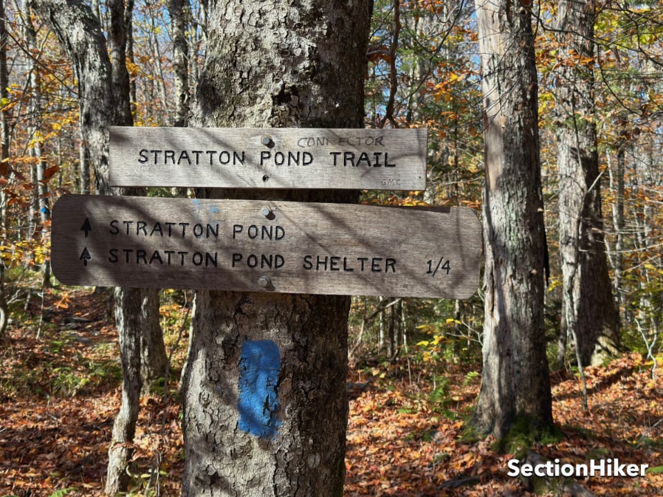 The Stratton Pond Trail continues across the Shelter-to-Pond Trail to link to the Long Trail. Take a left when you come to the trail to the shelter, walk below the caretaker's tent platform, and then make a right before you reach the pond. It's easy to walk past.