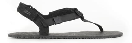 Shama Elite Warrior