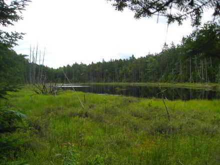 Pond in 100 Mile Wilderness